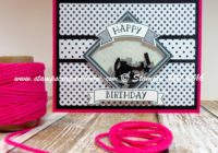 Pop of Pink, Painter's Pallet, Stampin' Up!